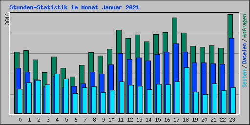 Stunden-Statistik im Monat Januar 2021