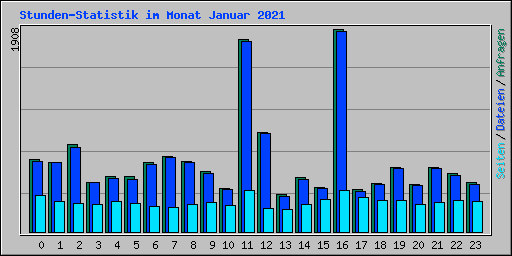 Stunden-Statistik im Monat Januar 2021