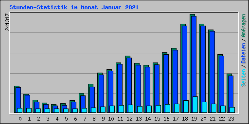 Stunden-Statistik im Monat Januar 2021